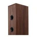 Dali Spektor 6 Black