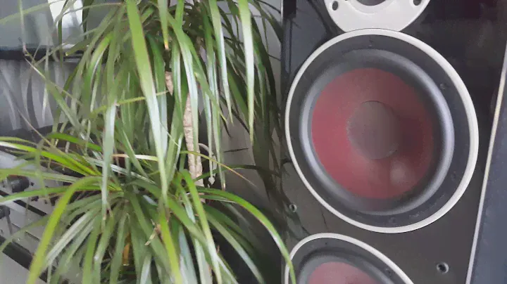 Dali Zensor 7 Denon PMA-1510AE (YELLO) 4K
