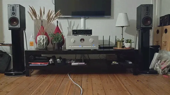 dali mentor 1 test. . . speaker are  from 2011. only one  owner