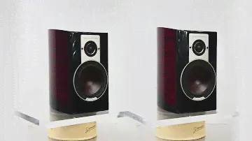 Dali Epicon 2- Ruby Macassar