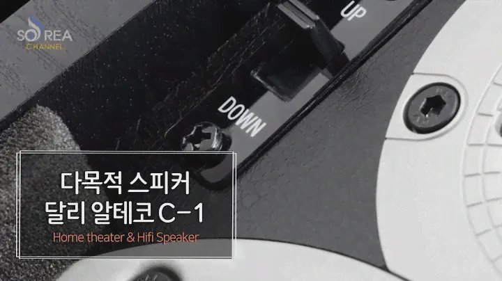 진정한 다목적 스피커 / 달리 알테코 C-1(DALI Alteco C-1)