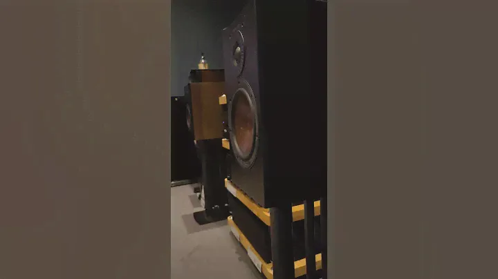 DALI OPTICON 2 MK2 | DRIVER BEHAVIOUR | FLORENCE & THE MACHINE - BETWEEN TWO LUNGS