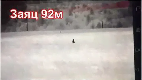 «В мире животных» кадры с тепловизора . Тепловизионный прицел Dali s240