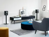 Dali Spektor 2 black ash черный дуб Полочная акустика